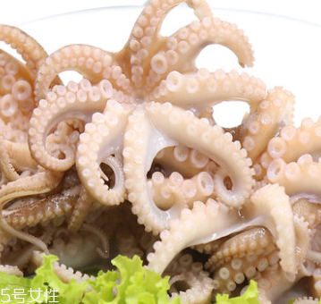 章魚是什么顏色？章魚是什么樣子？