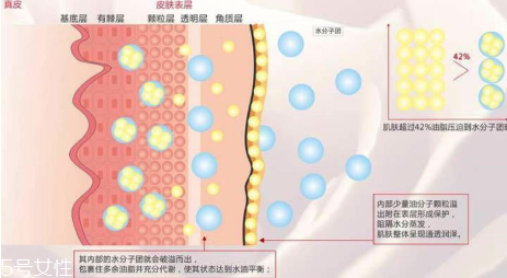 頑固痘痘怎么消除？油皮為什么反復(fù)爆痘？