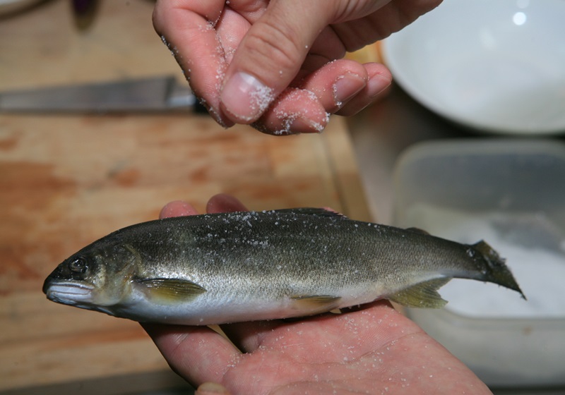 香魚(yú)是什么魚(yú) 5種香魚(yú)的做法