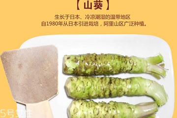 山葵的種植技術(shù) 四大要點(diǎn)