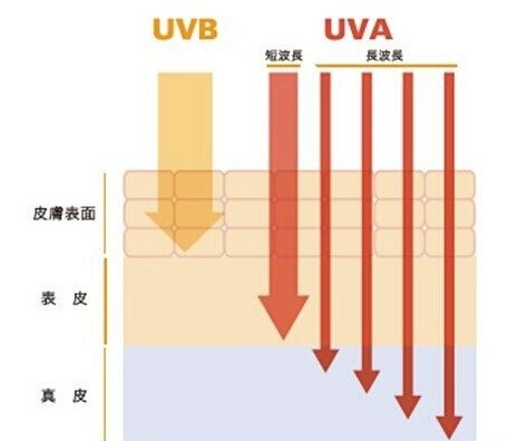 uva和uvb哪個更可怕 uva最可怕能致癌