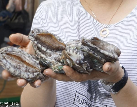 鮑魚(yú)可以燉湯嗎 鮑魚(yú)湯超美味