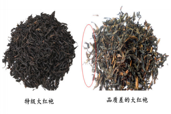 大紅袍茶葉形狀圖片 真假對(duì)比圖