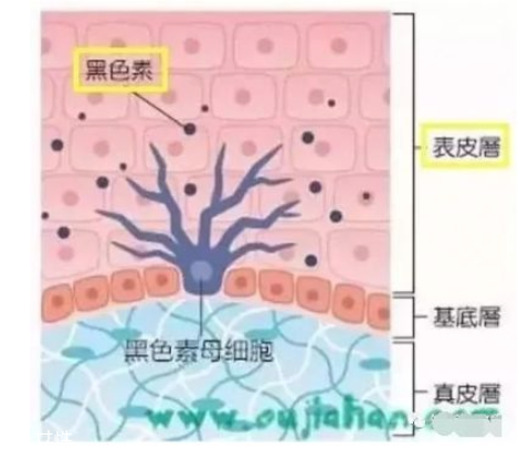 黑眼圈嚴(yán)重怎么去除 跟熊貓眼說byebye