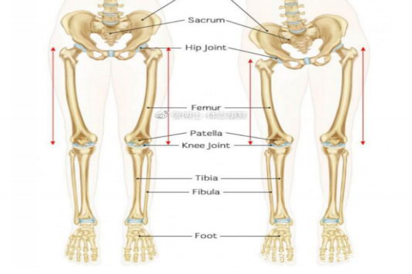 長(zhǎng)短腿怎么矯正 長(zhǎng)短腿的危害