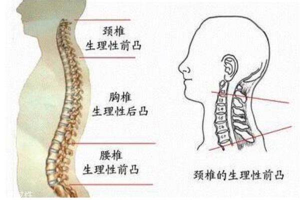 長(zhǎng)短腿怎么矯正 長(zhǎng)短腿的危害