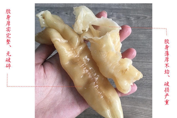 花膠泡好什么樣 乳白的魚(yú)肉色