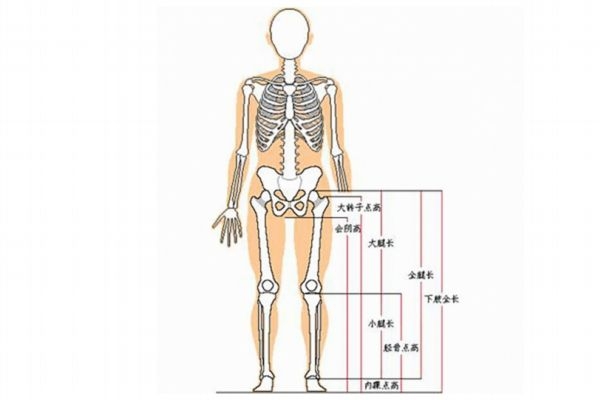 什么樣的腿算長(zhǎng) 你知道怎樣是真正的腿精