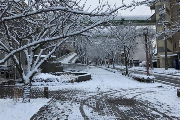 冬天防滑小常識(shí) 雨雪天防滑小竅門