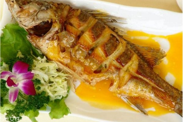 魚(yú)肉怎么做好吃 魚(yú)肉食譜大全