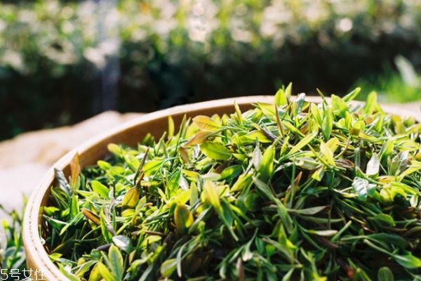 嶗山綠茶價格多少錢一斤 嶗山綠茶價格