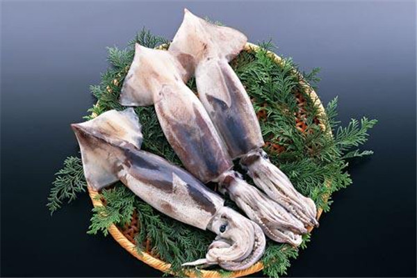 魷魚(yú)可以生吃嗎 魷魚(yú)的功效