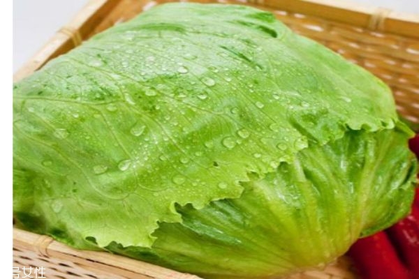 什么是西生菜呢 西生菜有什么營養(yǎng)價值呢