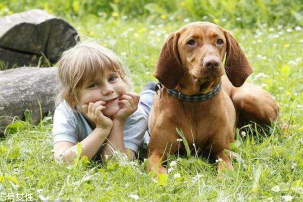 打狂犬疫苗最佳時間是什么呢 狂犬疫苗應該怎么打呢