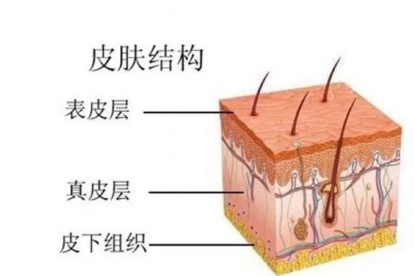 去角質(zhì)層正確方法有什么呢 什么人群不能去角質(zhì)層呢