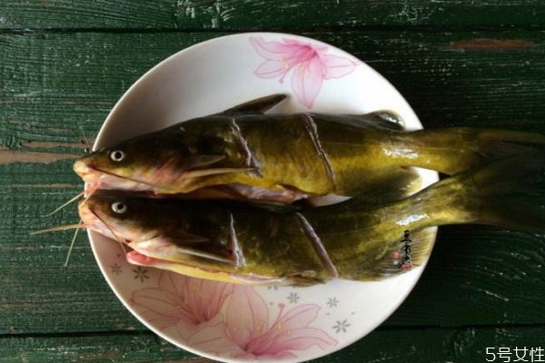 黃刺魚(yú)適合什么人群吃呢 孕婦可以吃黃刺魚(yú)嗎