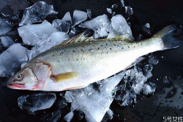 吃海鱸魚有什么好處呢 海鱸魚怎么做好吃呢