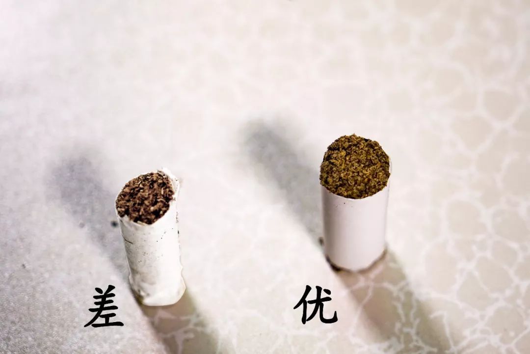 艾條的煙對身體有害嗎 艾條能長期用嗎