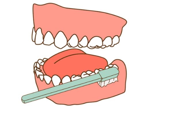 早上起來不刷牙先吃飯可以嗎 早上刷牙后吃飯的好處