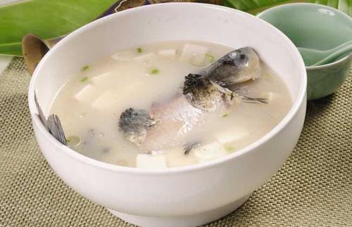 鯽魚(yú)豆腐湯能補(bǔ)鈣嗎 鯽魚(yú)牛奶湯怎么做好吃