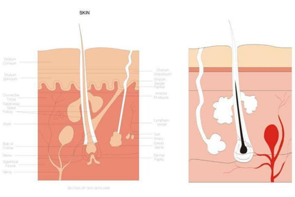 糾結(jié)身體乳哪個(gè)牌子好？從功效下手才穩(wěn)