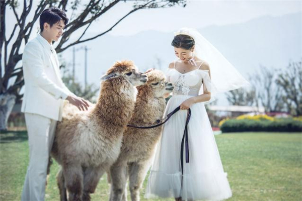 夫妻分居兩年能挽回嗎 夫妻分居兩年還能復合嗎