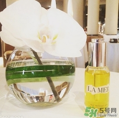 lamer海藍(lán)之謎精華油多少錢？海藍(lán)之謎renewal oil面油價格