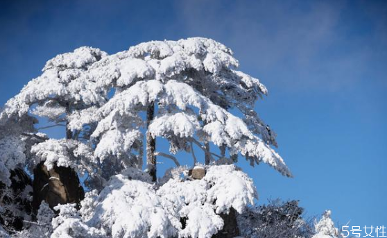 元旦去哪里看雪比較好 中國看雪的十大地方