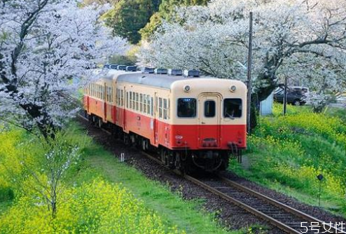 火車票候補(bǔ)能買到票嗎 火車票候補(bǔ)訂單成功率