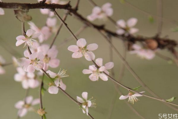 立春當(dāng)天可以打掃衛(wèi)生嗎 立春這天有什么講究