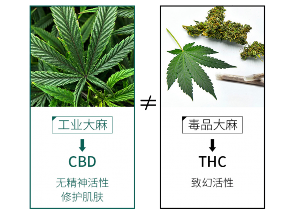 CBD護膚品牌魔力肌源 瞄準新銳成分黨以功效打動消費者