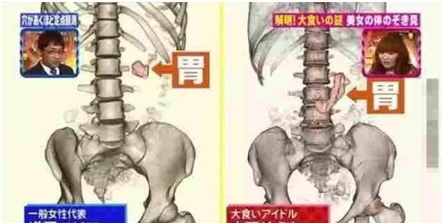 那些大胃王真的能吃那么多食物嗎