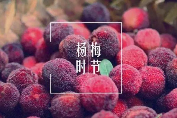 楊梅的營(yíng)養(yǎng)價(jià)值及功效與作用 吃楊梅的好處有哪些