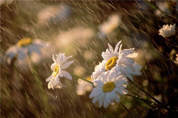 梅雨季節(jié)什么時候開窗通風最好 梅雨季節(jié)開窗通風好不好