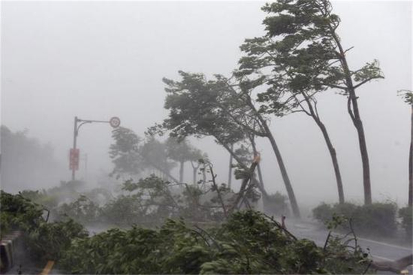 臺風盧碧登陸廣東 臺風是多少級