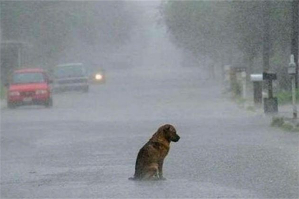 湖北暴雨后上萬件包裹被淹 暴雨來臨如何防范