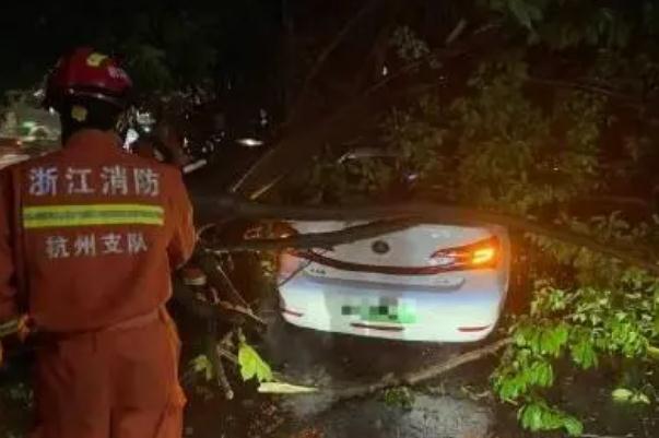 杭州暴雨:有車庫被淹 暴雨車庫被淹保險賠嗎