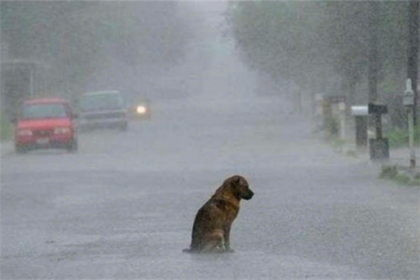 暴雨屬于自然災(zāi)害嗎 暴雨產(chǎn)生的原因是什么