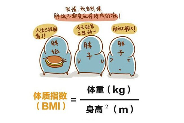 bmi體脂率怎么計(jì)算 bmi是什么意思