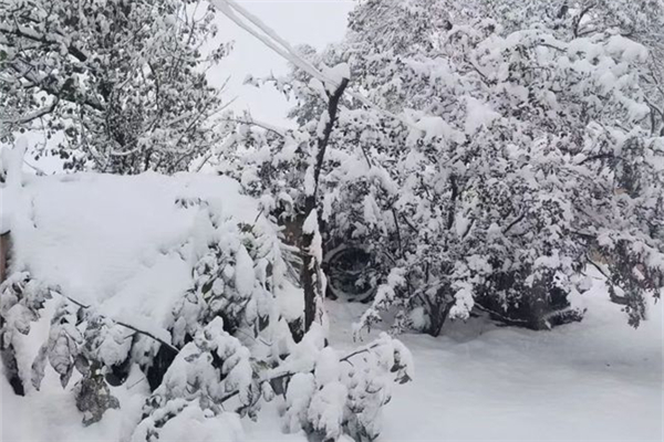 降雪需要什么條件 降雪一般達到多少度