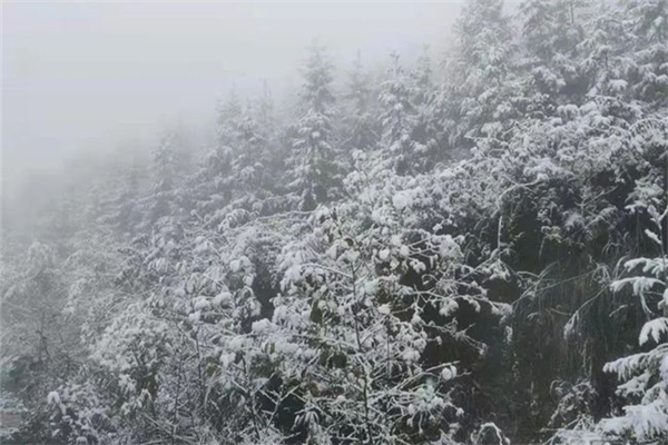 降雪的必要條件 降雪量的等級(jí)標(biāo)準(zhǔn)