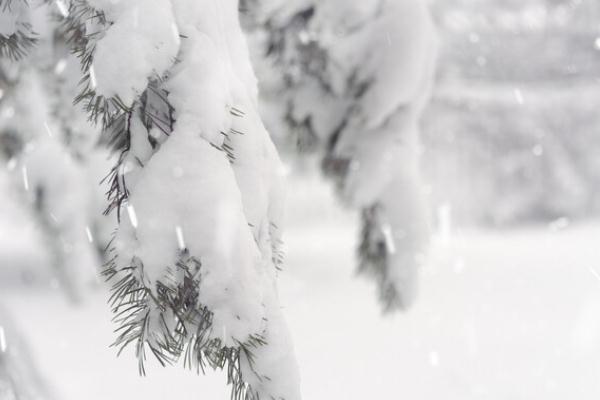 降雪是怎么形成的 降雪46小時通遼積雪深度破紀(jì)錄