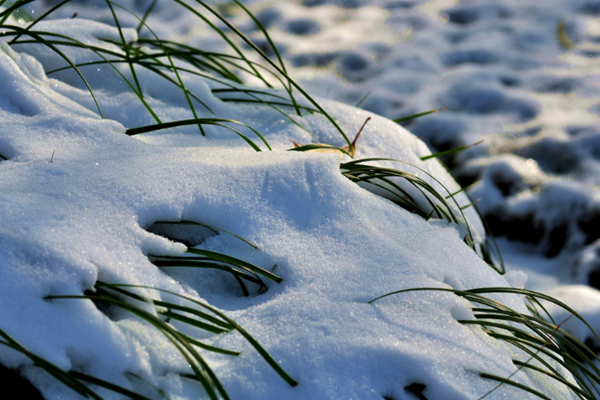 小雪節(jié)氣的來歷 小雪節(jié)氣有哪些風(fēng)俗