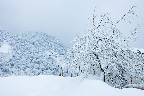 大雪節(jié)氣是幾月幾號(hào)2021年 大雪節(jié)氣是什么意思