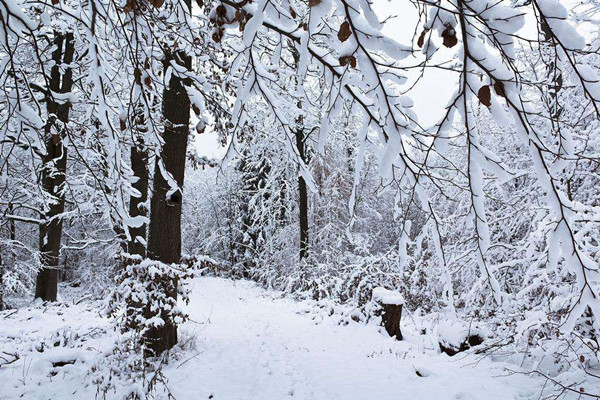 大雪節(jié)氣是一年中第幾個(gè)節(jié)氣 大雪節(jié)氣是一年中最冷的嗎