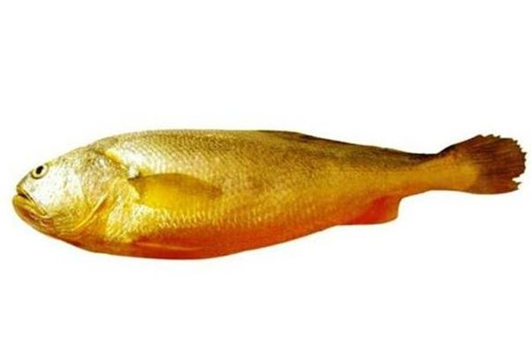 黃花魚(yú)可以給寶寶吃嗎 黃花魚(yú)刺多不多