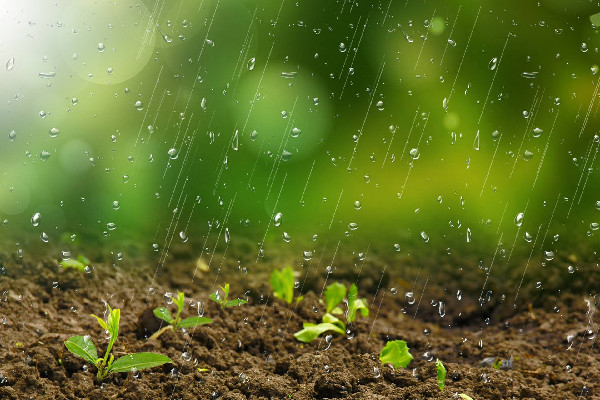 雨水節(jié)氣一定會(huì)下雨嗎 雨水節(jié)氣有什么說法