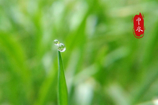 雨水節(jié)氣吃什么傳統(tǒng)食物 雨水節(jié)氣要吃面條嗎