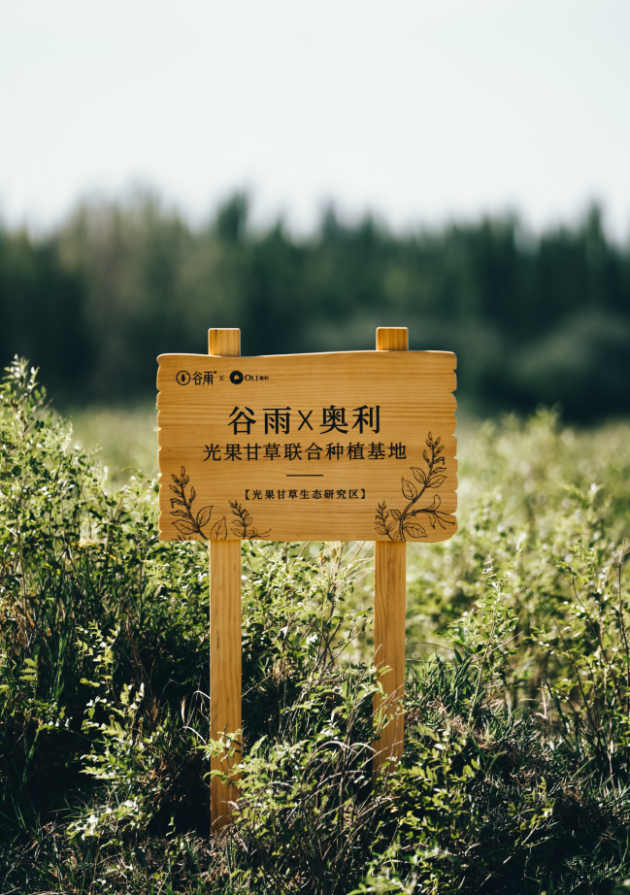 谷雨護膚品|最懂中國文化的護膚品牌