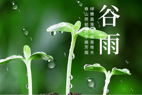 谷雨節(jié)氣的特點和風俗 谷雨節(jié)氣是幾月幾號